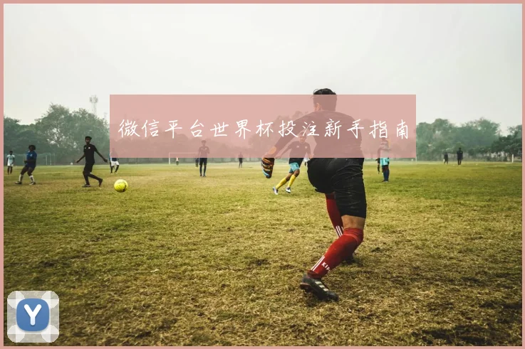 微信平台世界杯投注新手指南