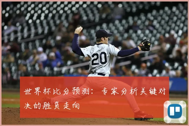 世界杯比分预测:专家分析关键对决的胜负走向