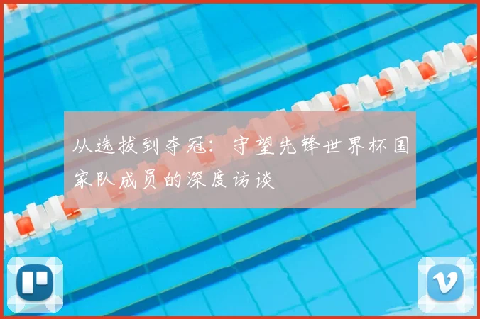 从选拔到夺冠:守望先锋世界杯国家队成员的深度访谈