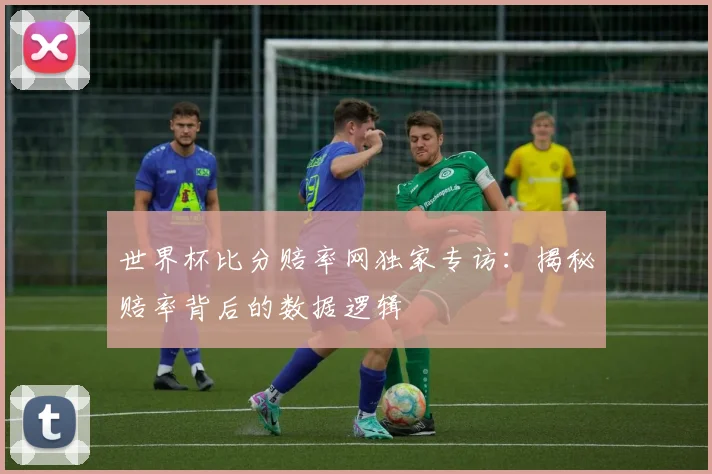 世界杯比分赔率网独家专访：揭秘赔率背后的数据逻辑