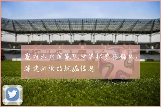 塞内加尔国家队世界杯资格确认,球迷必读的权威信息