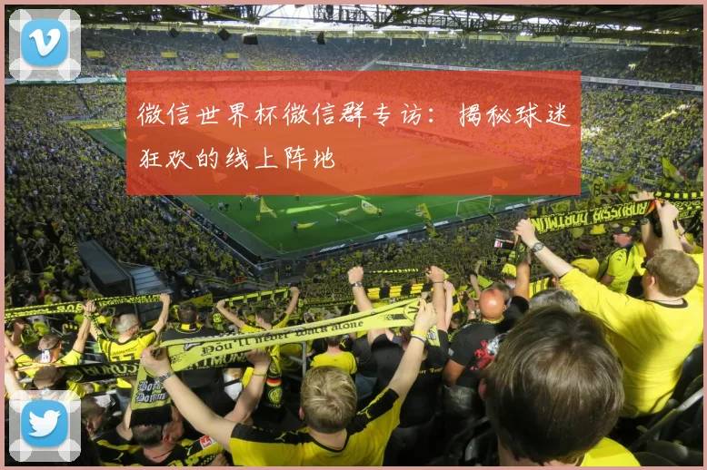 微信世界杯微信群专访：揭秘球迷狂欢的线上阵地