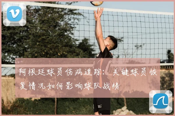 阿根廷球员伤病追踪：关键球员恢复情况如何影响球队战绩